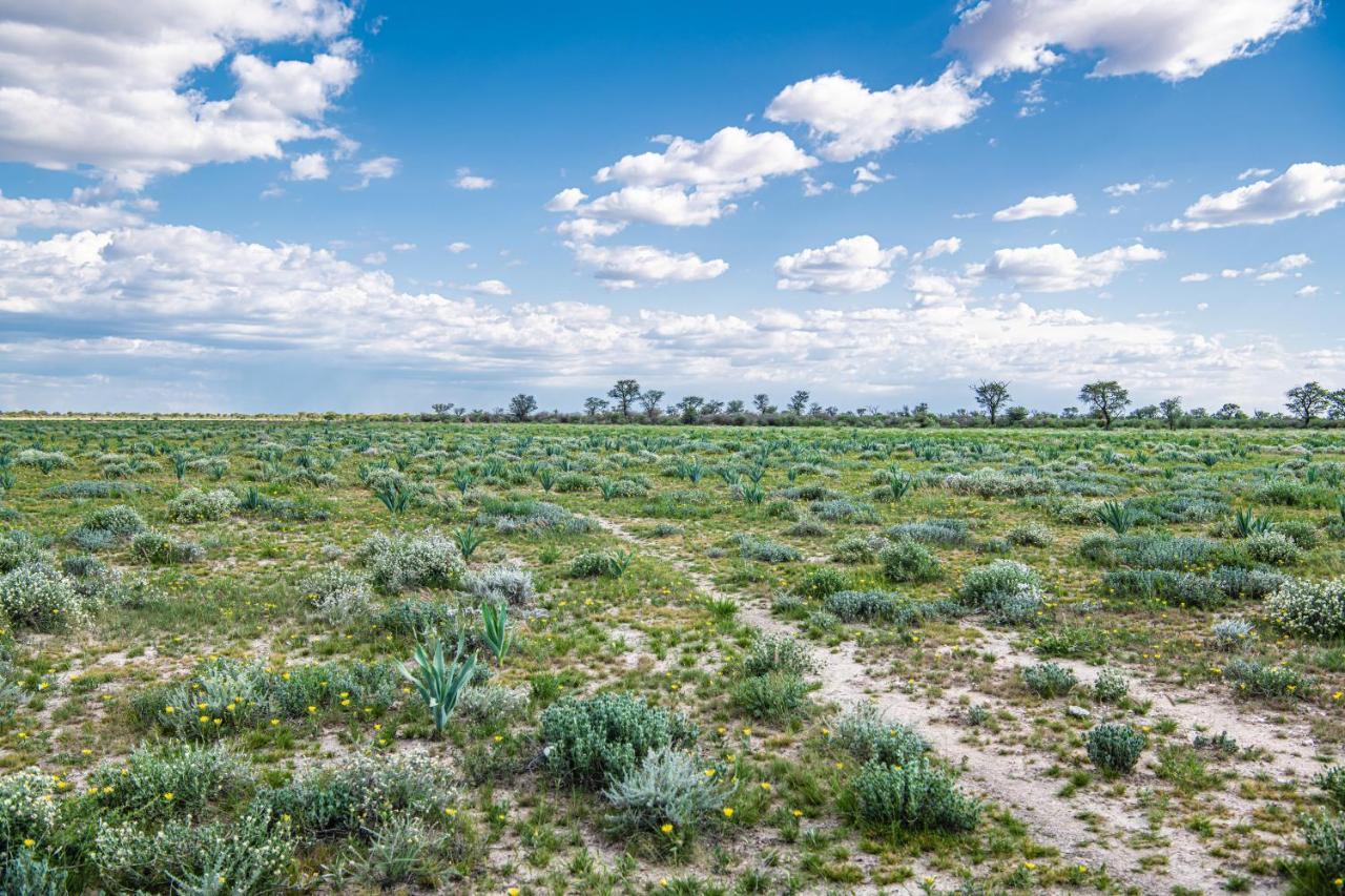 Farmstay Okakeua Окаханджа Экстерьер фото